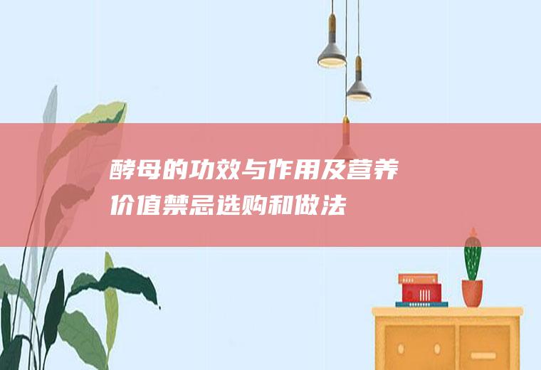 酵母的功效与作用及营养价值_禁忌_选购和做法