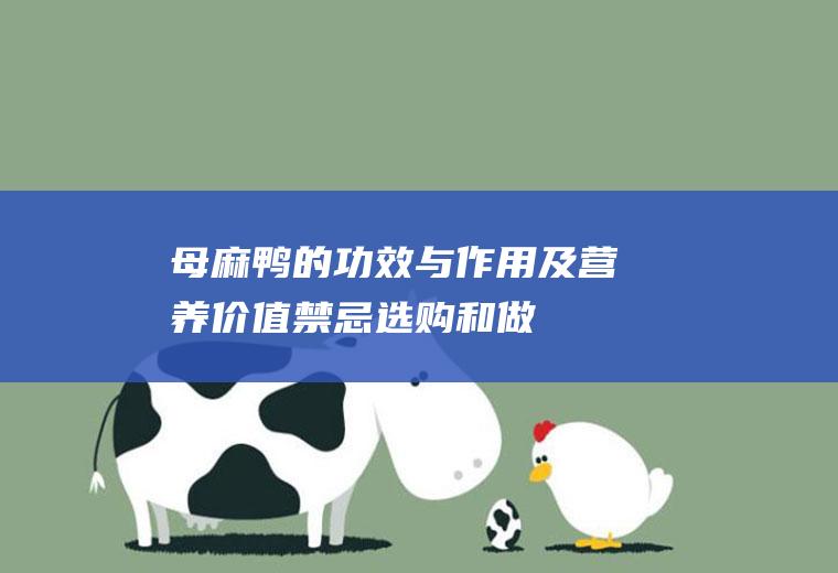 母麻鸭的功效与作用及营养价值_禁忌_选购和做法