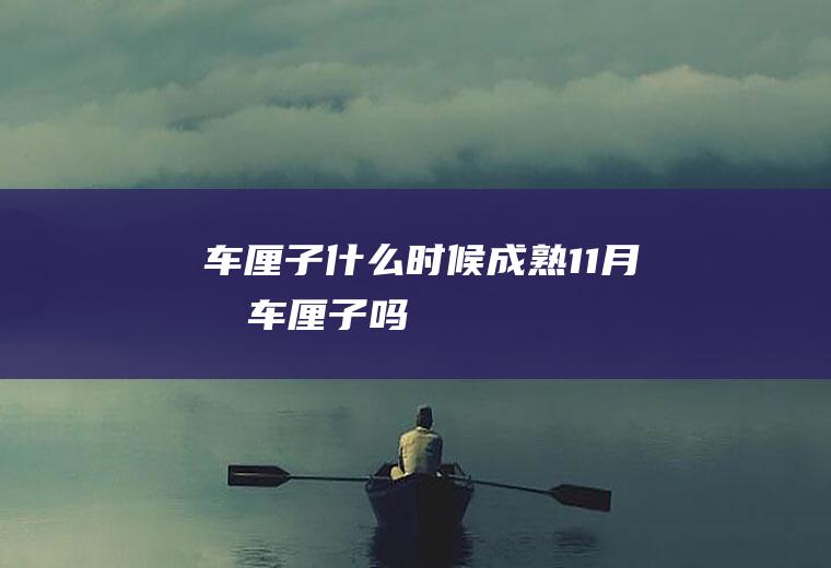 车厘子什么时候成熟(11月有车厘子吗)