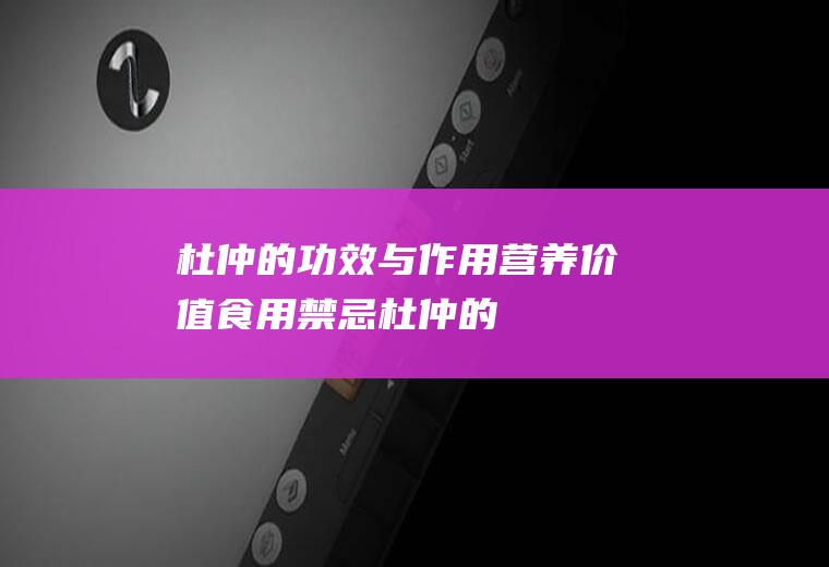 杜仲的功效与作用_营养价值_食用禁忌_杜仲的适用人群