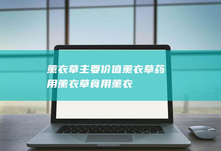 薰衣草主要价值_薰衣草药用_薰衣草食用_薰衣草美容_薰衣草园林