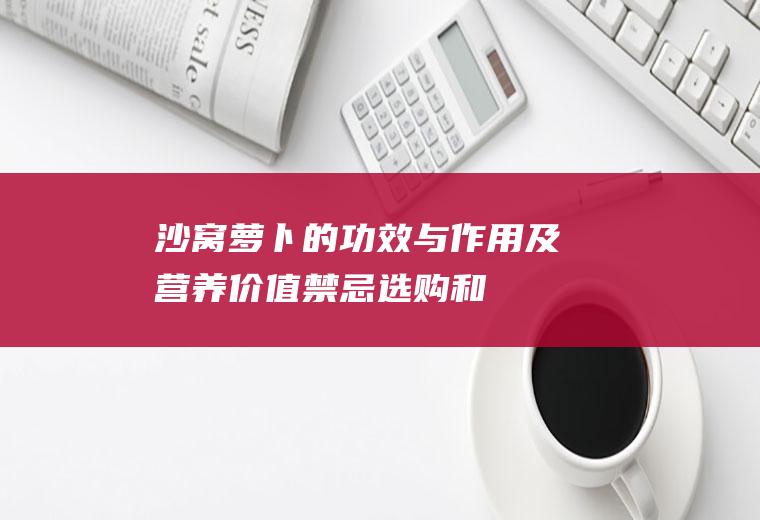 沙窝萝卜的功效与作用及营养价值_禁忌_选购和做法