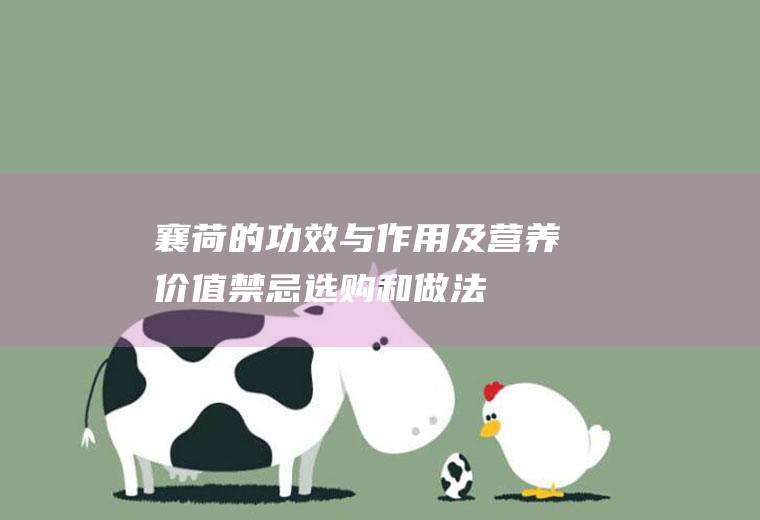 襄荷的功效与作用及营养价值_禁忌_选购和做法