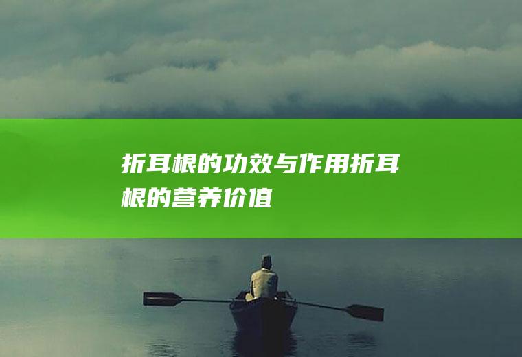 折耳根的功效与作用_折耳根的营养价值