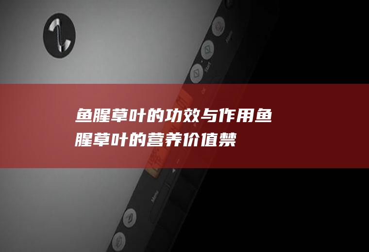 鱼腥草叶的功效与作用_鱼腥草叶的营养价值_禁忌人群_存储_食用方法