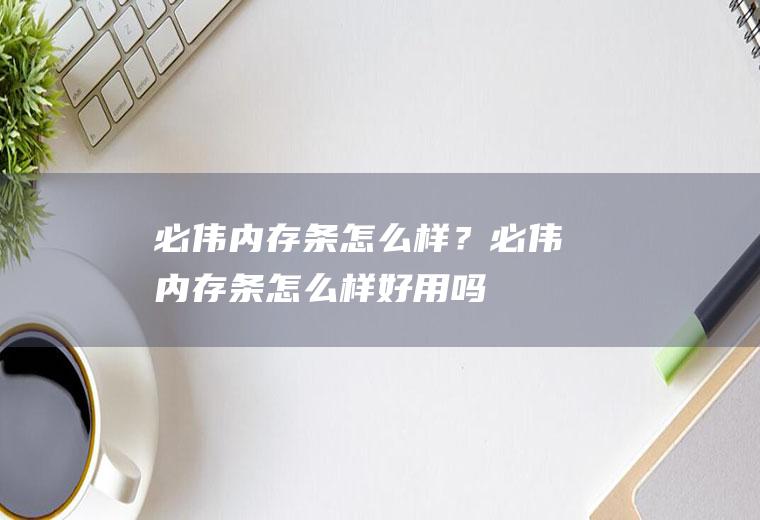 必伟内存条怎么样？(必伟内存条怎么样好用吗)