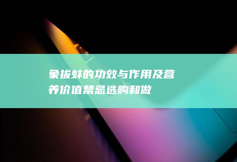 象拔蚌的功效与作用及营养价值_禁忌_选购和做法