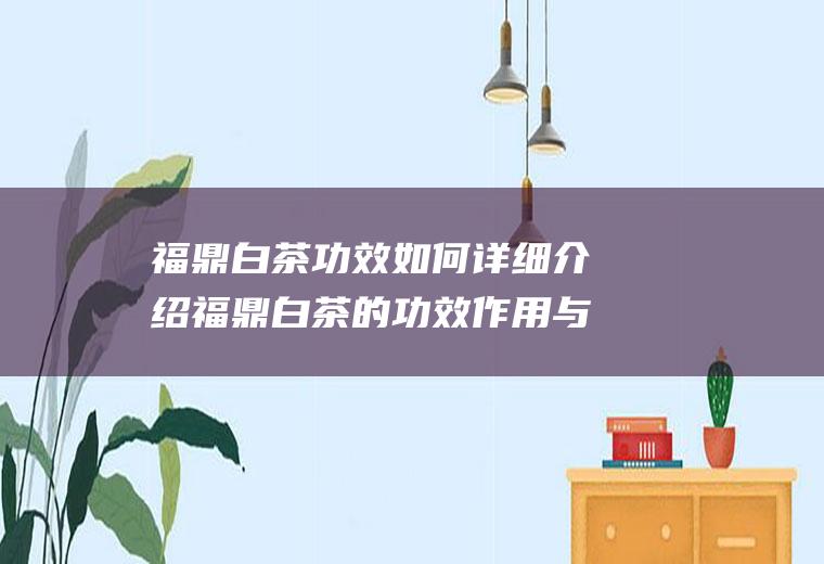 福鼎白茶功效如何详细介绍福鼎白茶的功效作用与禁忌(福鼎白茶的功效有哪些呢)