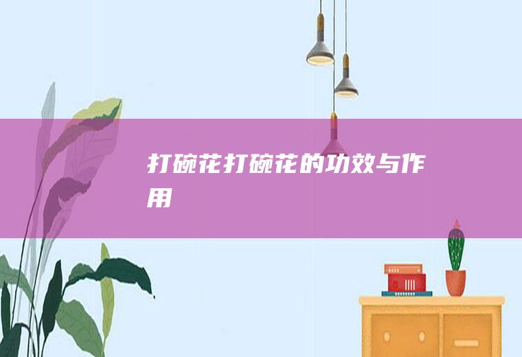 打碗花_打碗花的功效与作用