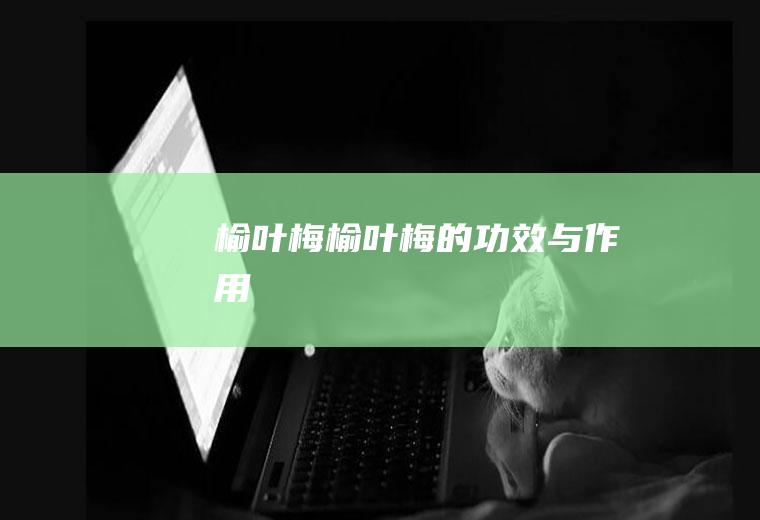 榆叶梅_榆叶梅的功效与作用