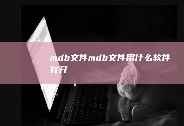 mdb文件（mdb文件用什么软件打开）