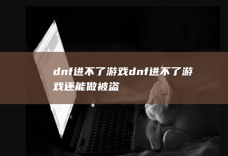 dnf进不了游戏（dnf进不了游戏还能做被盗服务模型吗）