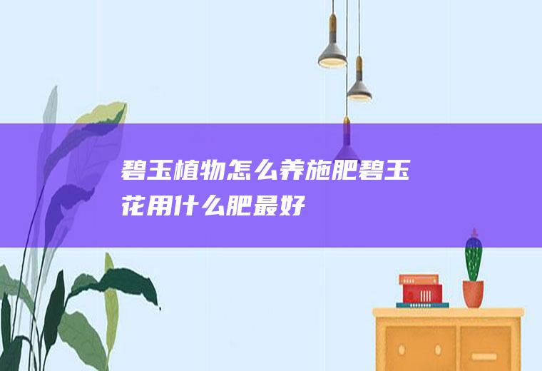 碧玉植物怎么养施肥(碧玉花用什么肥最好)