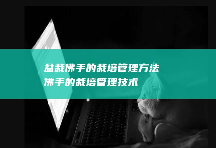 盆栽佛手的栽培管理方法(佛手的栽培管理技术)