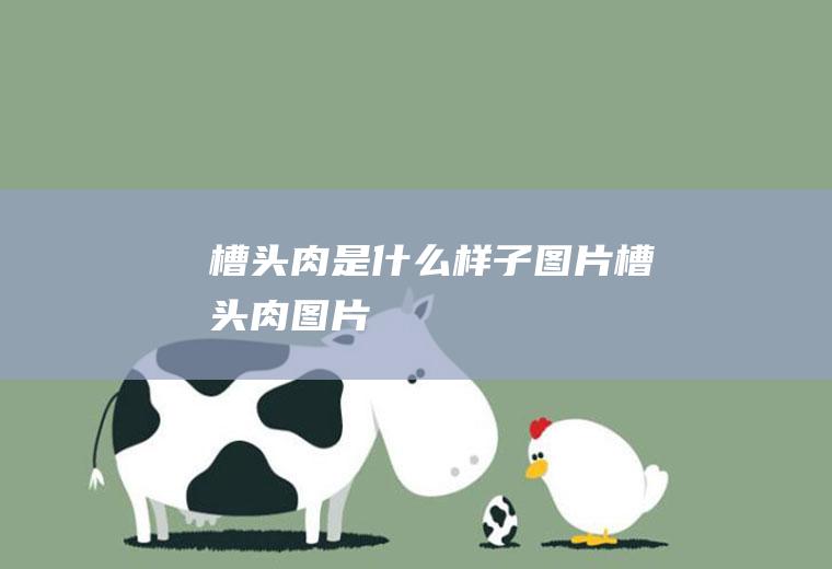 槽头肉是什么样子图片(槽头肉图片)