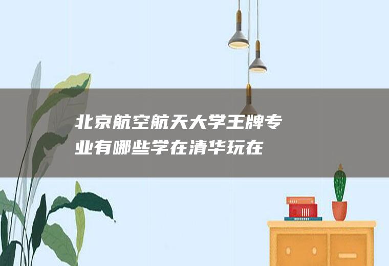 北京航空航天大学王牌专业有哪些(学在清华玩在北大死在北航)