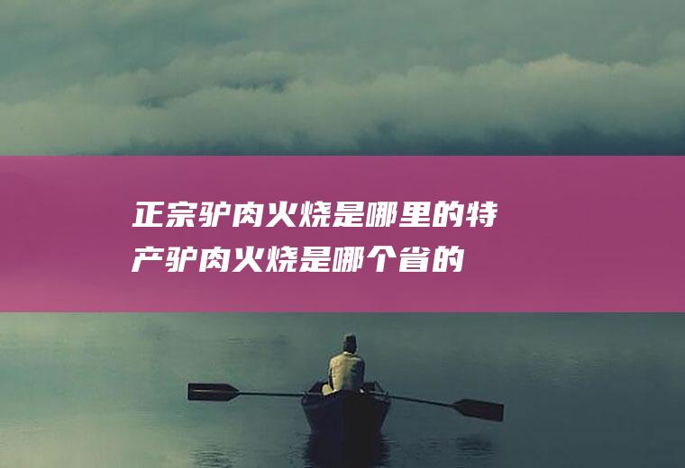 正宗驴肉火烧是哪里的特产(驴肉火烧是哪个省的美食)