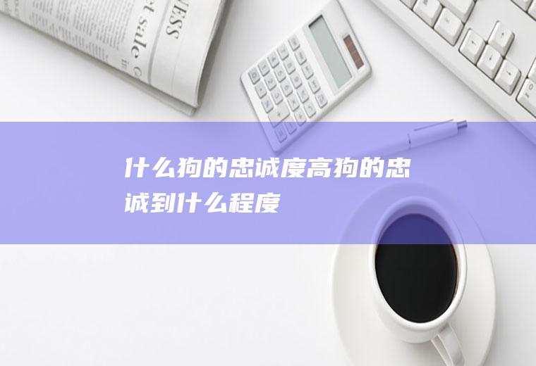 什么狗的忠诚度高(狗的忠诚到什么程度)