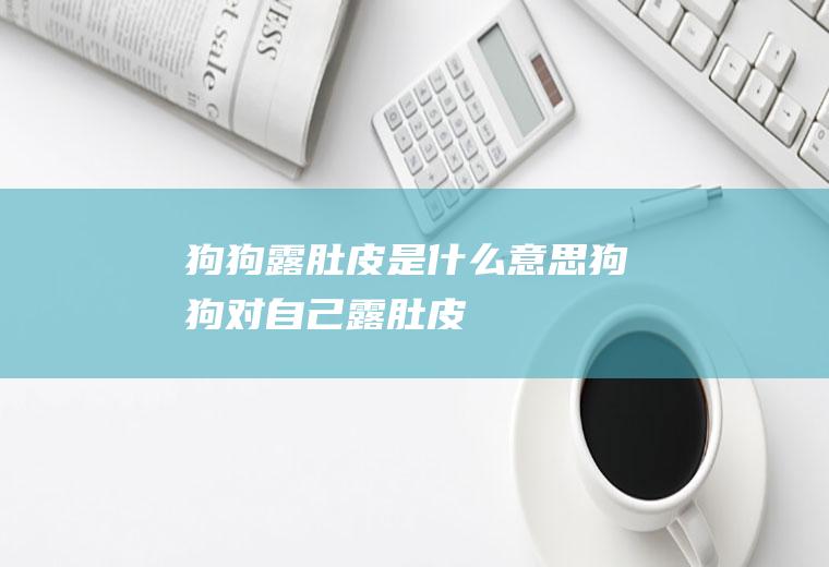 狗狗露肚皮是什么意思(狗狗对自己露肚皮)