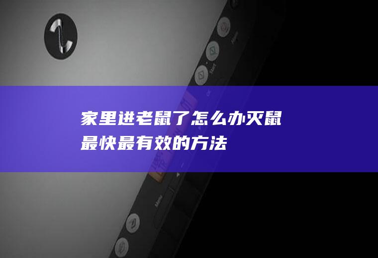 家里进老鼠了怎么办(灭鼠最快最有效的方法)