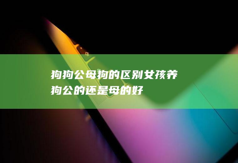 狗狗公母狗的区别(女孩养狗公的还是母的好)