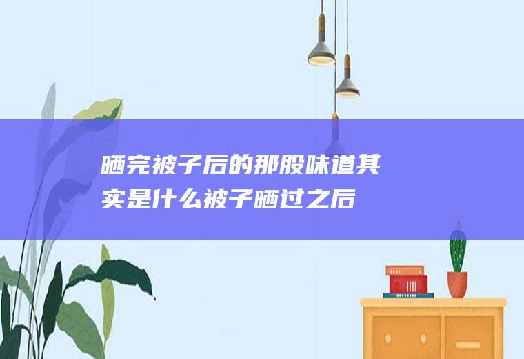 晒完被子后的那股味道其实是什么,被子晒过之后的味道是什么