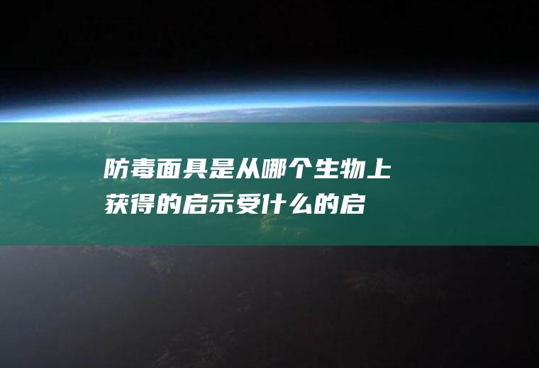 防毒面具是从哪个生物上获得的启示,受什么的启示发明了防毒面具