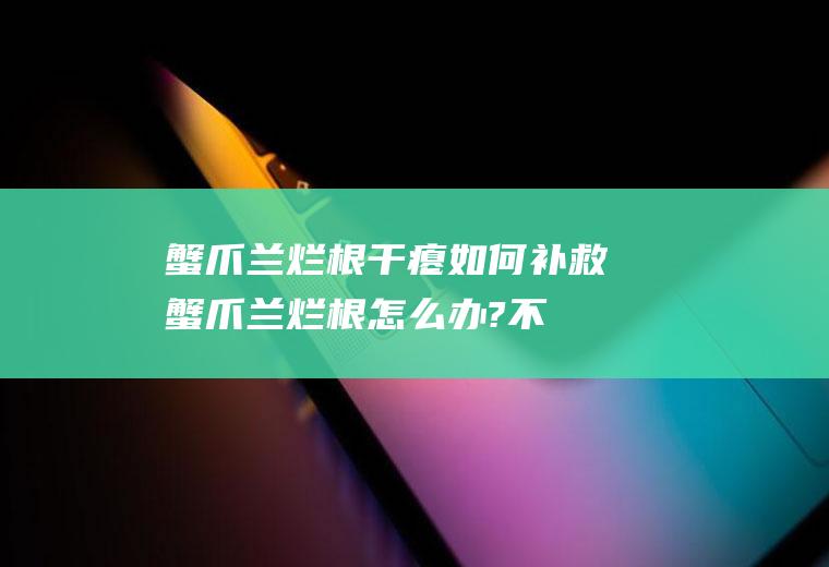 蟹爪兰烂根干瘪如何补救(蟹爪兰烂根怎么办?不要怕)