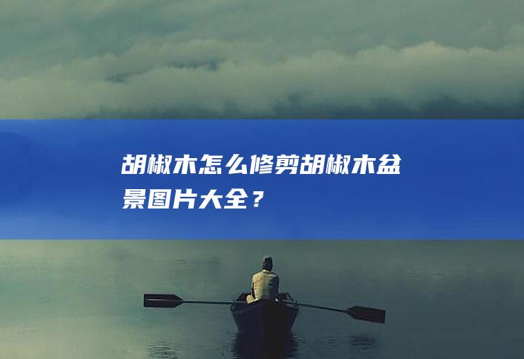 胡椒木怎么修剪,胡椒木盆景图片大全？