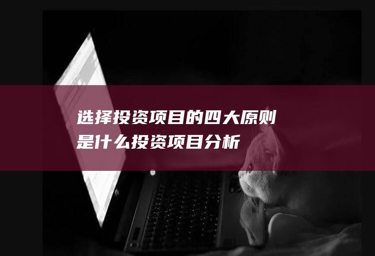 选择投资项目的四大原则是什么投资项目分析