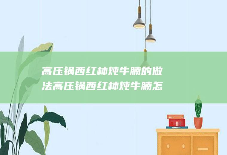 高压锅西红柿炖牛腩的做法高压锅西红柿炖牛腩怎么做