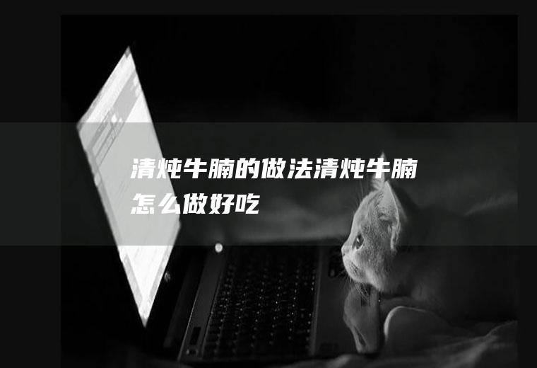 清炖牛腩的做法清炖牛腩怎么做好吃