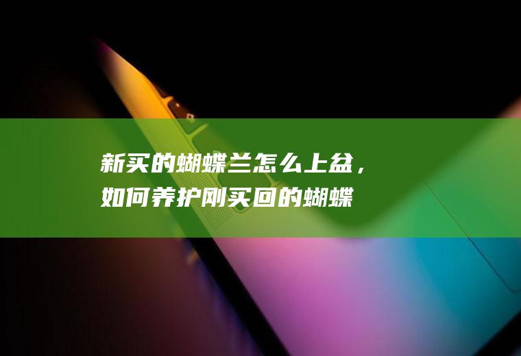 新买的蝴蝶兰怎么上盆，如何养护,刚买回的蝴蝶兰怎么移栽？