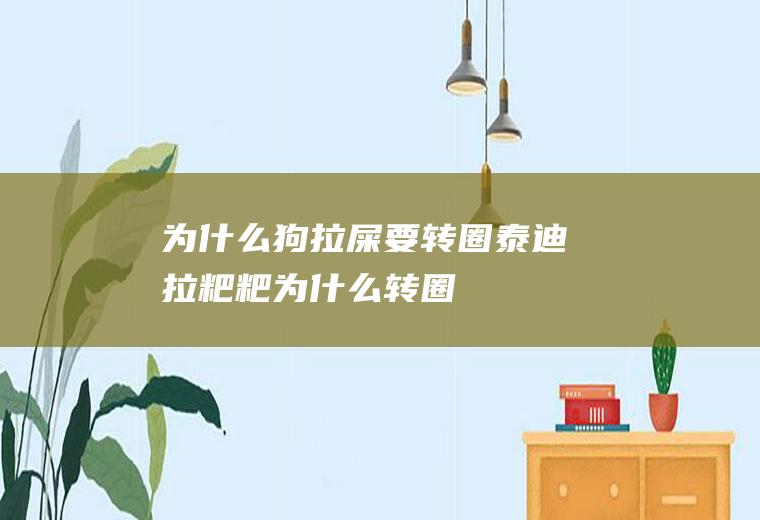 为什么狗拉屎要转圈(泰迪拉粑粑为什么转圈)