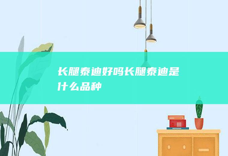 长腿泰迪好吗(长腿泰迪是什么品种)