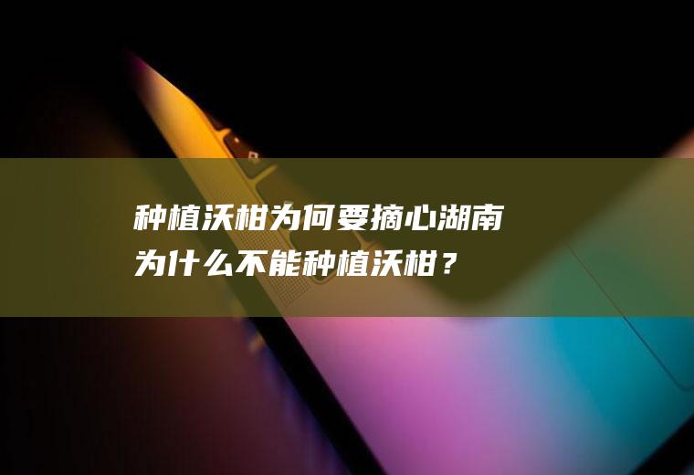 种植沃柑为何要摘心,湖南为什么不能种植沃柑？