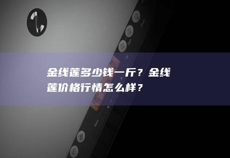 金线莲多少钱一斤？金线莲价格行情怎么样？