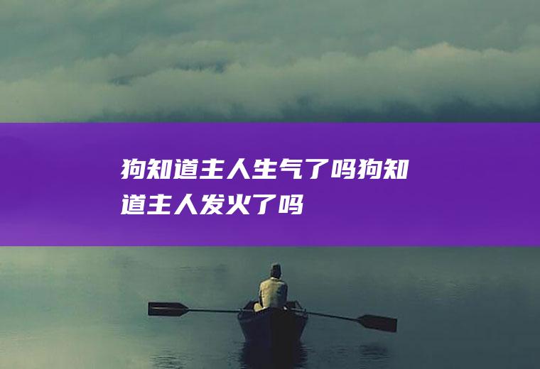 狗知道主人生气了吗(狗知道主人发火了吗)