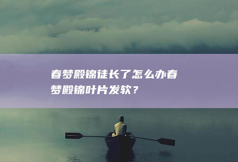 春梦殿锦徒长了怎么办,春梦殿锦叶片发软？