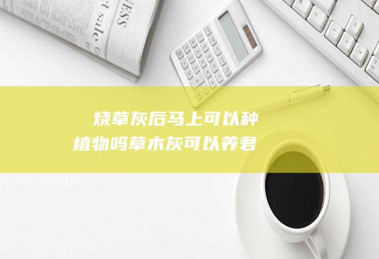 ​​烧草灰后马上可以种植物吗,草木灰可以养君子兰吗？