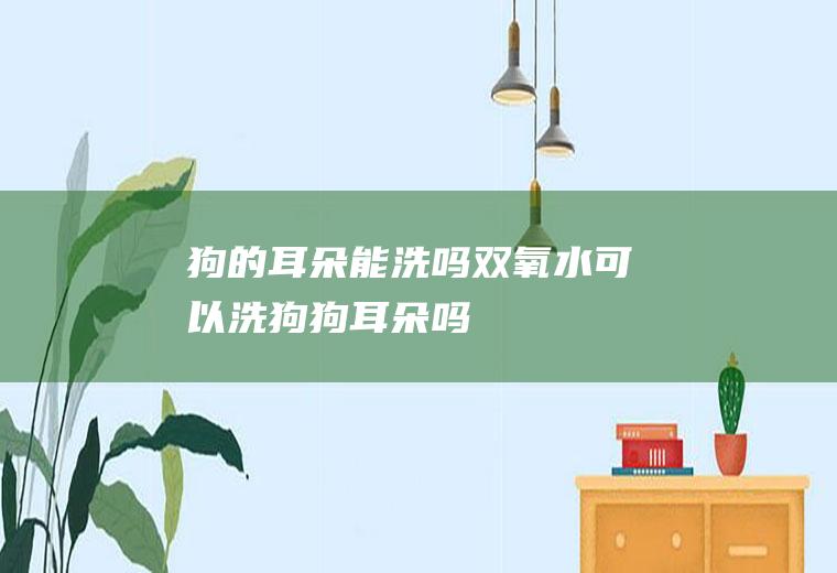 狗的耳朵能洗吗(双氧水可以洗狗狗耳朵吗)