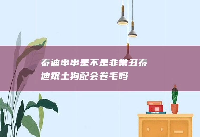 泰迪串串是不是非常丑(泰迪跟土狗配会卷毛吗)