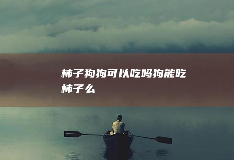 柿子狗狗可以吃吗(狗能吃柿子么)