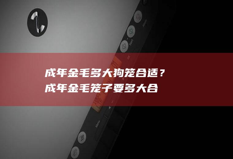 成年金毛多大狗笼合适？(成年金毛笼子要多大合适)