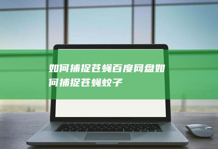 如何捕捉苍蝇百度网盘(如何捕捉苍蝇蚊子)