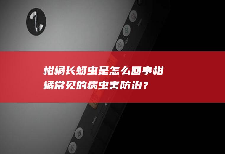 柑橘长蚜虫是怎么回事,柑橘常见的病虫害防治？