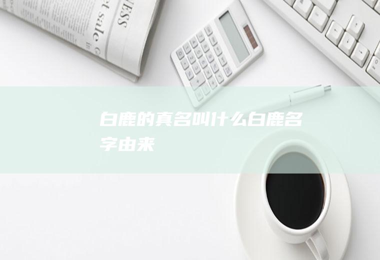 白鹿的真名叫什么(白鹿名字由来)