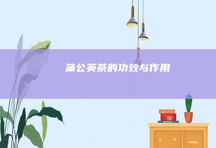 蒲公英茶的功效与作用