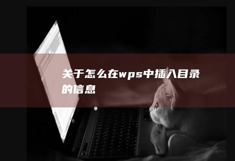 关于怎么在wps中插入目录的信息