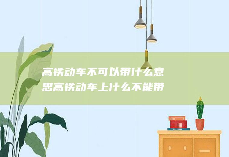 高铁动车不可以带什么意思高铁动车上什么不能带